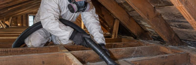 Worker in a white suit and respirator vacuuming old insulation from between attic joists