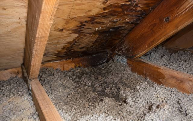 Dark water stain on attic roof boards above damp, matted cellulose insulation
